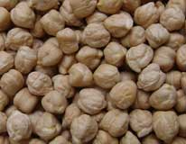 Kabuli