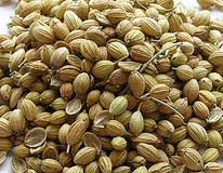 Coriander Seeds