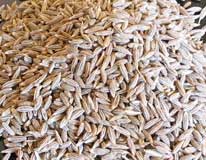 Cumin Seeds