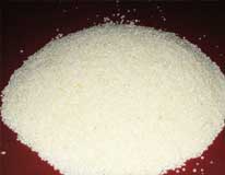 Samo Seeds