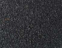 Sesame Black
