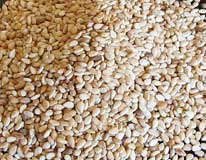 Sesame Hulled