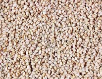 Sesame Natural